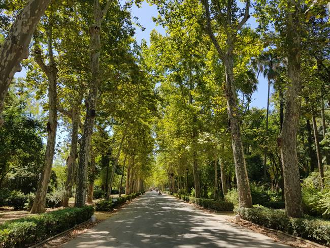 Parque de María Luisa