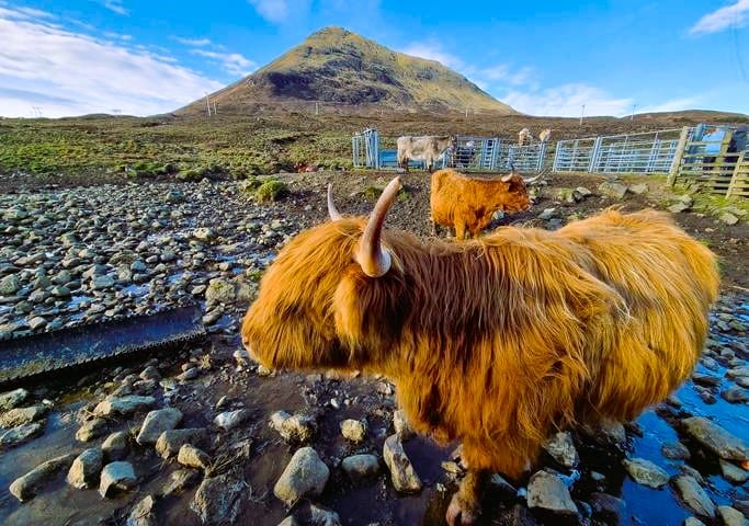 Consejos para viajar a Escocia