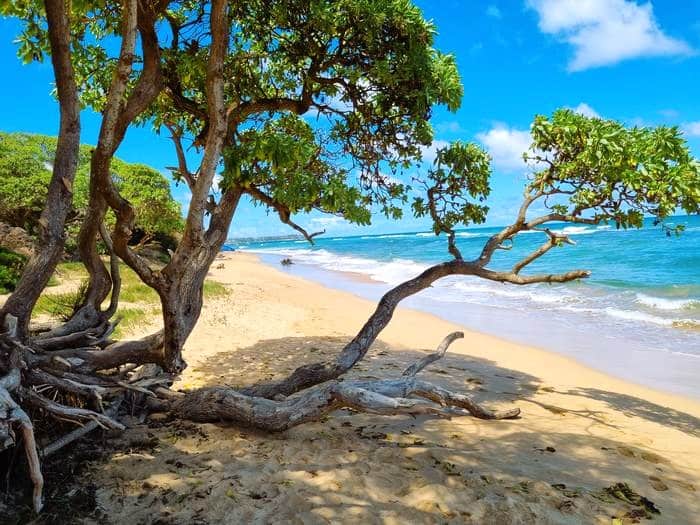 Anini beach, qué ver en Kauai