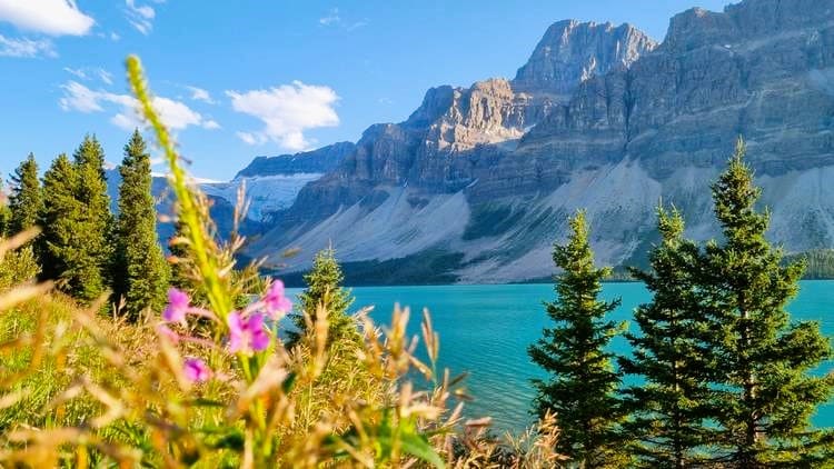 Bow Lake