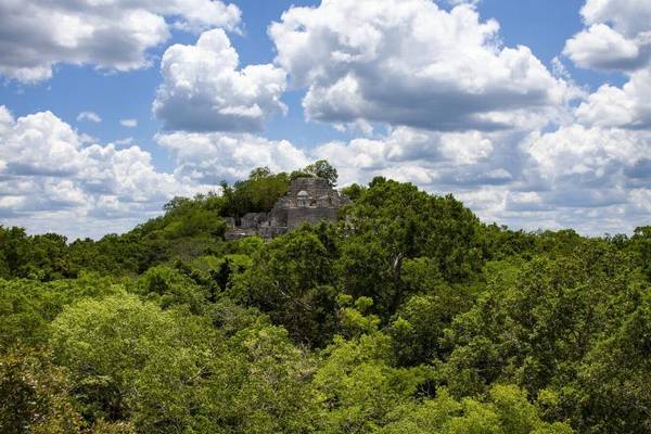Calakmul, México