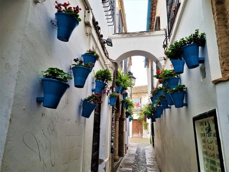 Calleja de las Flores