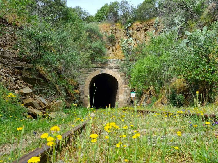 Túnel del camino de hierro