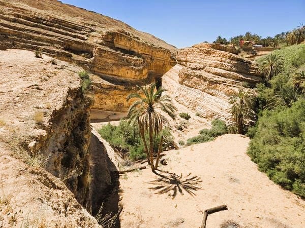 Cañón de Mides