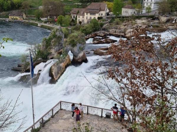 Cataratas del Rin, Suiza