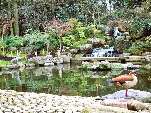 Consejos para viajar a Londres Kioto Park