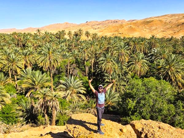 Palmeral, una cosa imprescindible que ver en Túnez