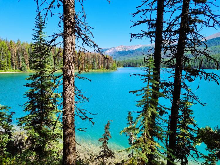 Consejos para viajar a las montañas rocosas