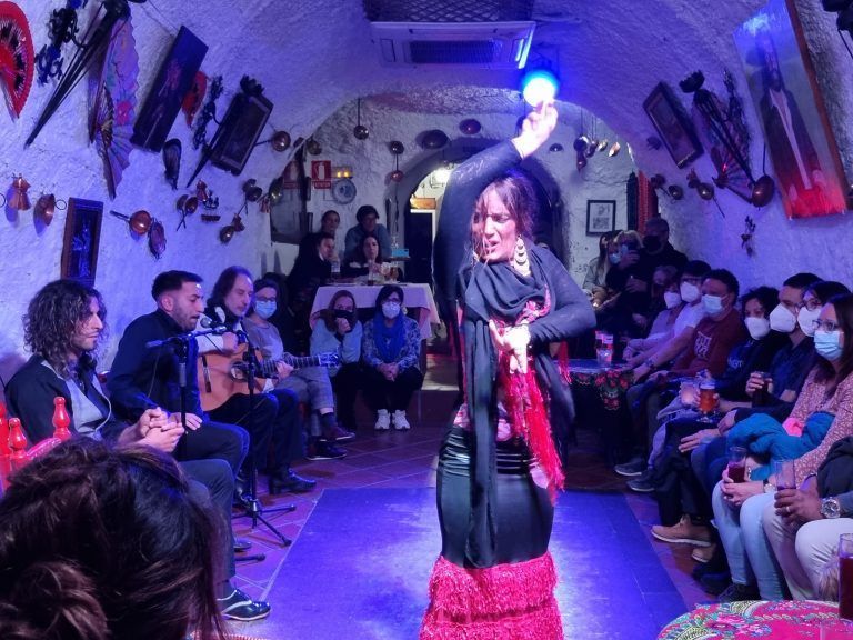 Bailadora de Flamenco en Granada