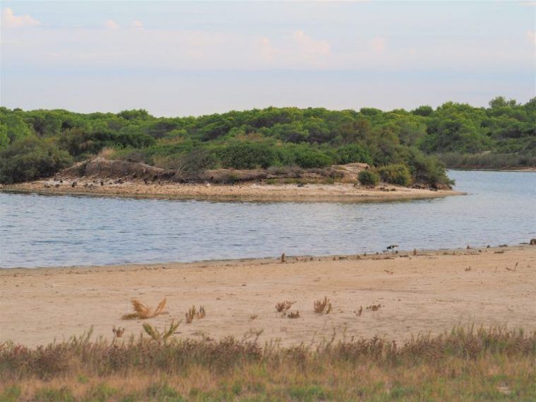 Estany del Puchol, Albufera de Valencia