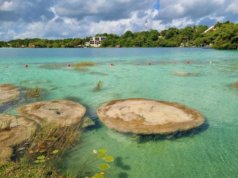 Estromatolitos de Bacalar