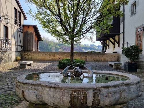 fuente de friburgo suiza