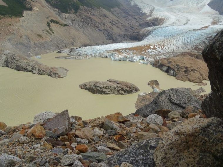 Glaciar Laguna Torre