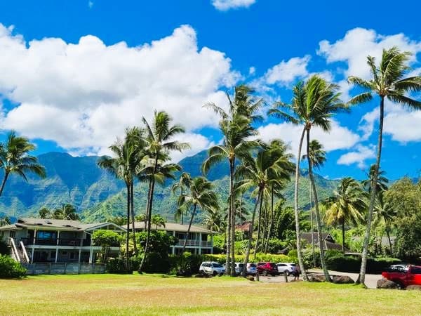 Hanalei beach