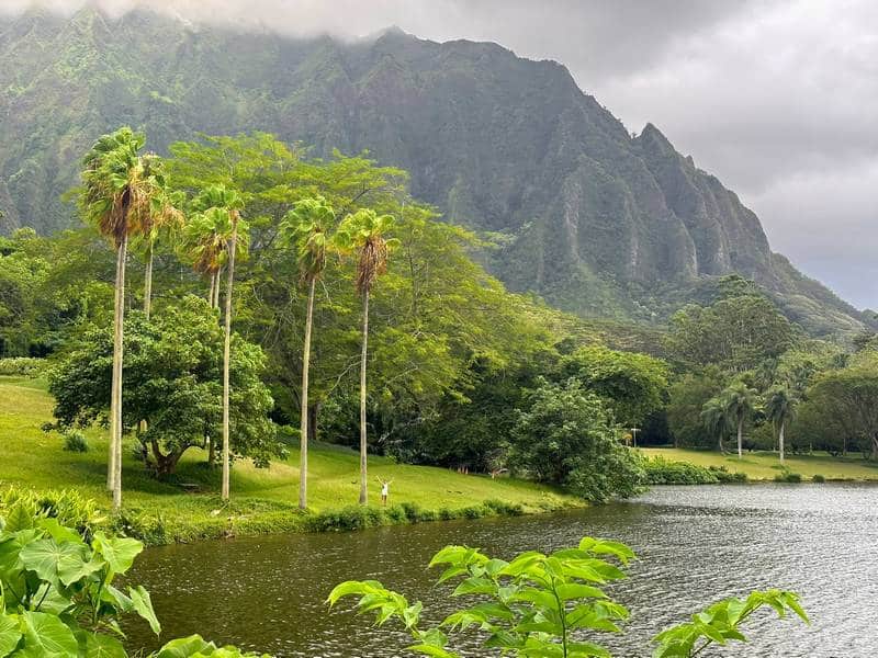 Ho'omaluhia Botanical Garden qué ver en Oahu