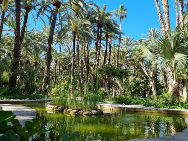 Huerto del cura elche