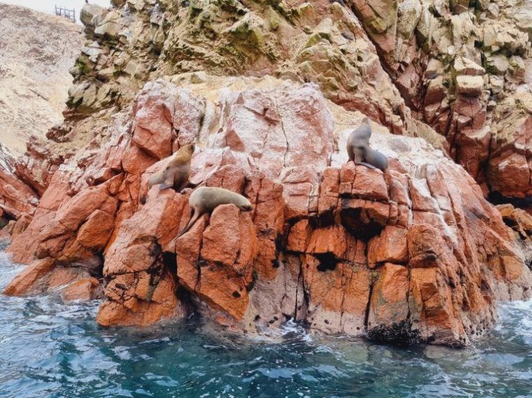 Islas Ballestas, Perú