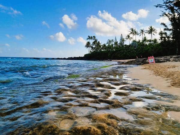 qué ver y hacer en oahu
