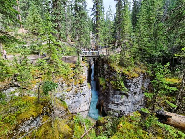 Maligne Canyon qué ver y hacer en Jasper