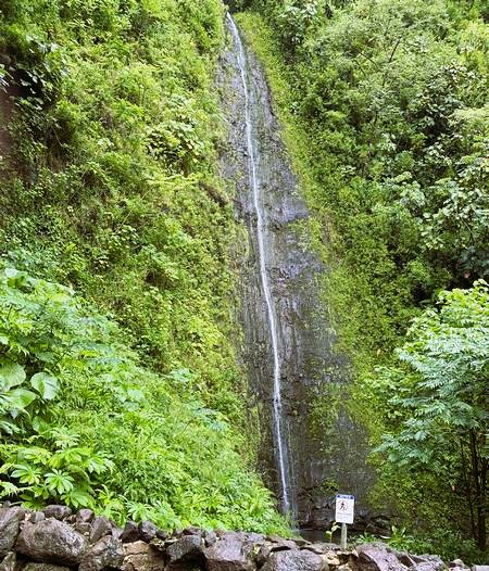 Manoa Falls Oahu
