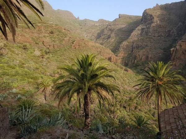 Masca, qué ver en Tenerife en una semana