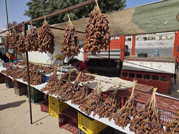 Mercado de Djerbahood