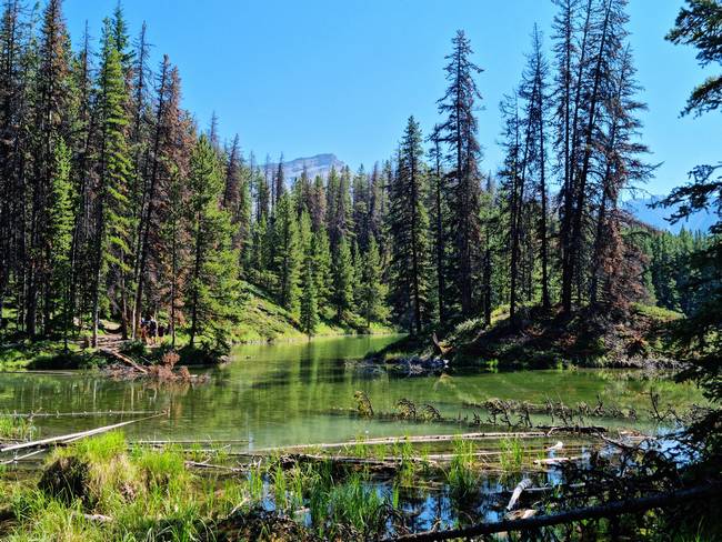 Moose Lake