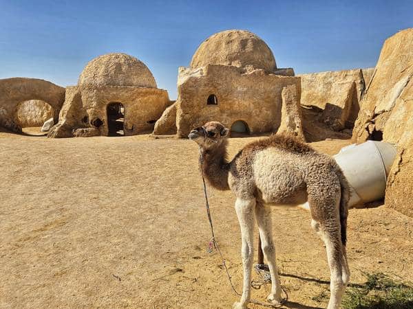 Mos Espa, escenario de Star Wars