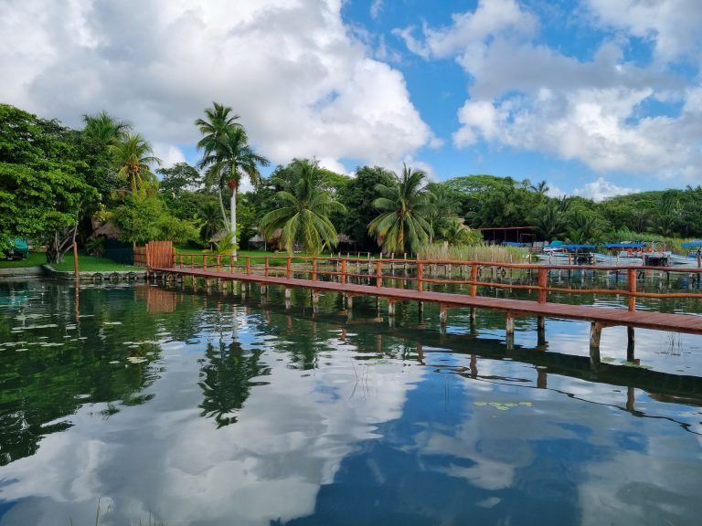 muelle ecológico con palmeras