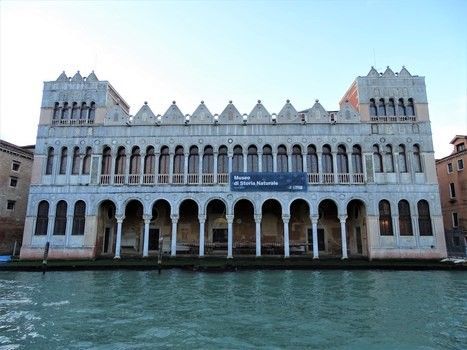 Museo de Historia Natural (Venecia)