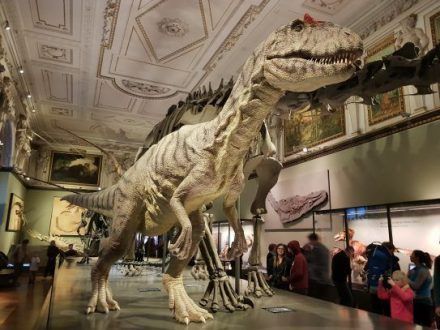 Museo de Historia Natural Viena