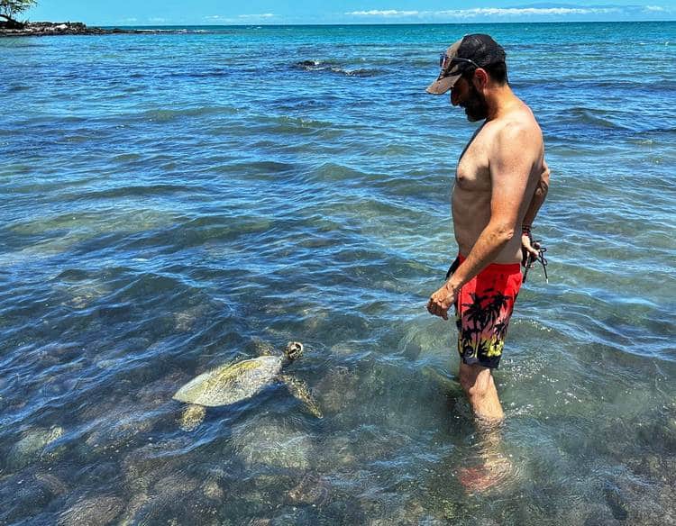 Nadando con tortugas en Hawaii
