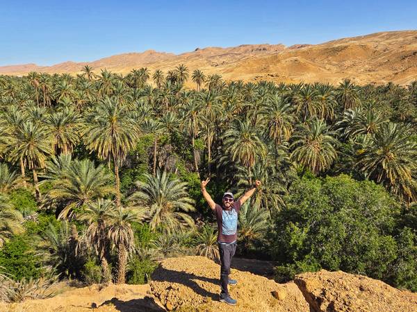 Palmeral del Oasis de Tamagzha