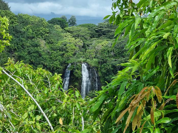 Opaeka´a Falls