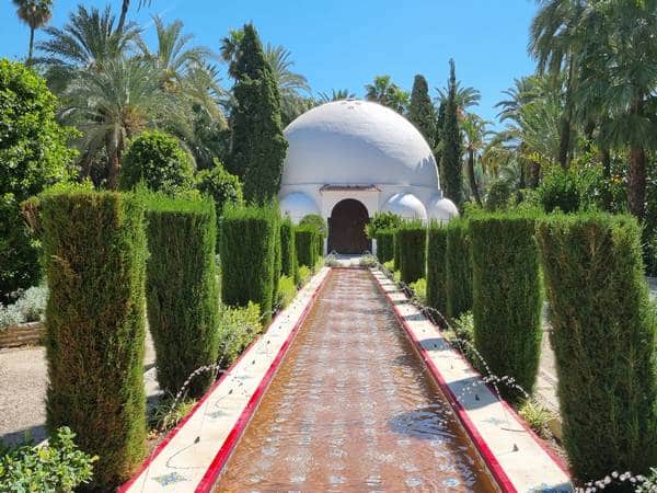 Palmeral de Elche