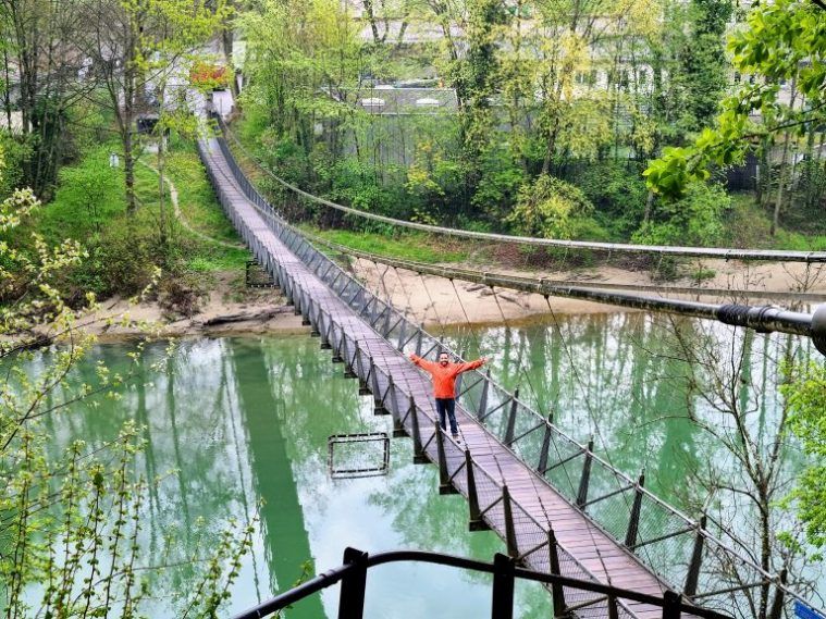 Pasarela Des Niegles