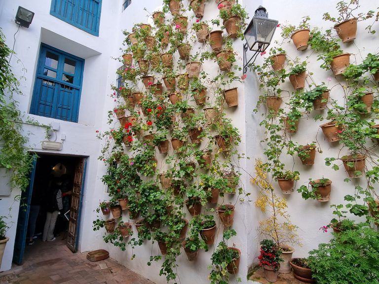 patios de córdoba