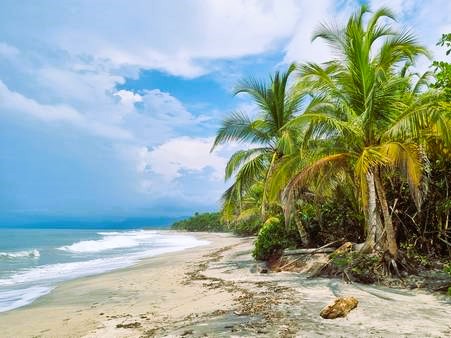 Playa de Colombia