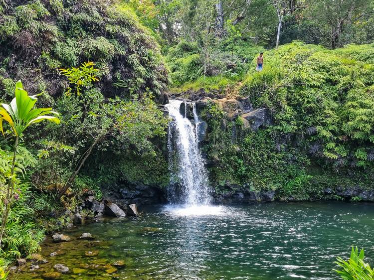 Road to hana consejos para viajar a Hawaii