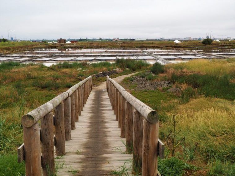 Salinas de Aveiro