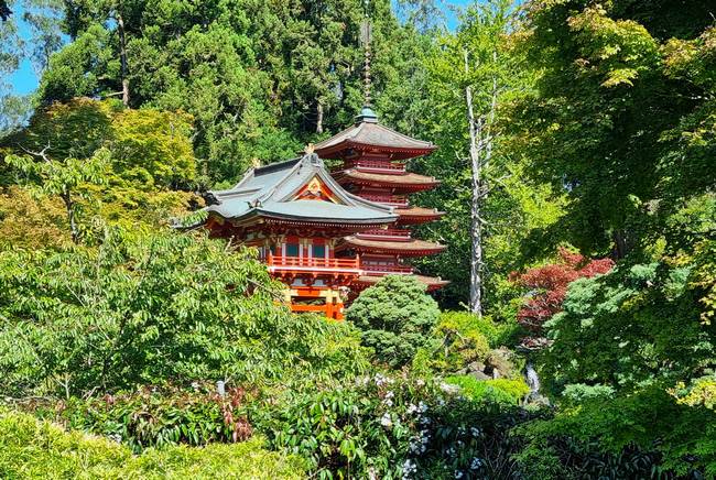 Jardín japonés de San Francisco