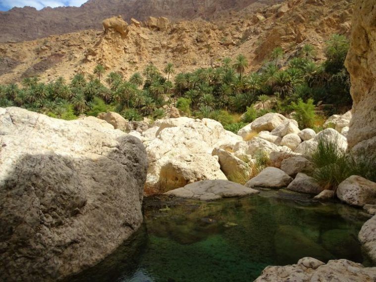 Wadi Tiwi