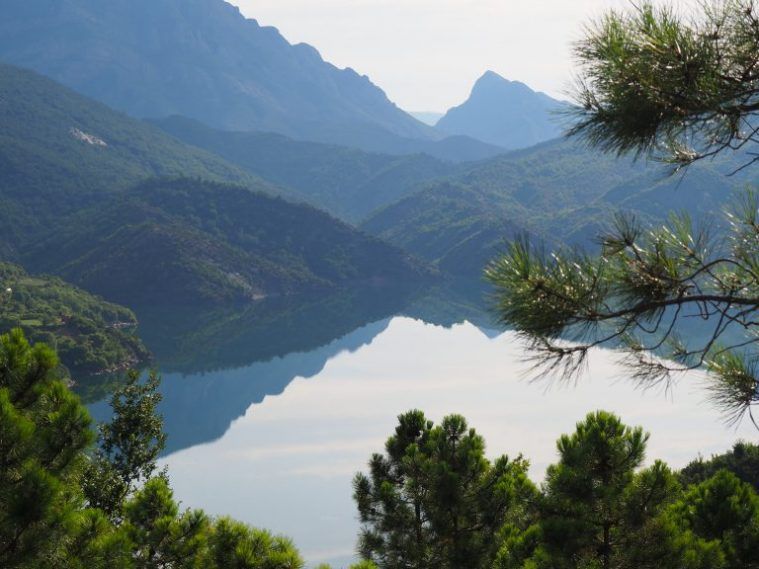 bosques de shkoder