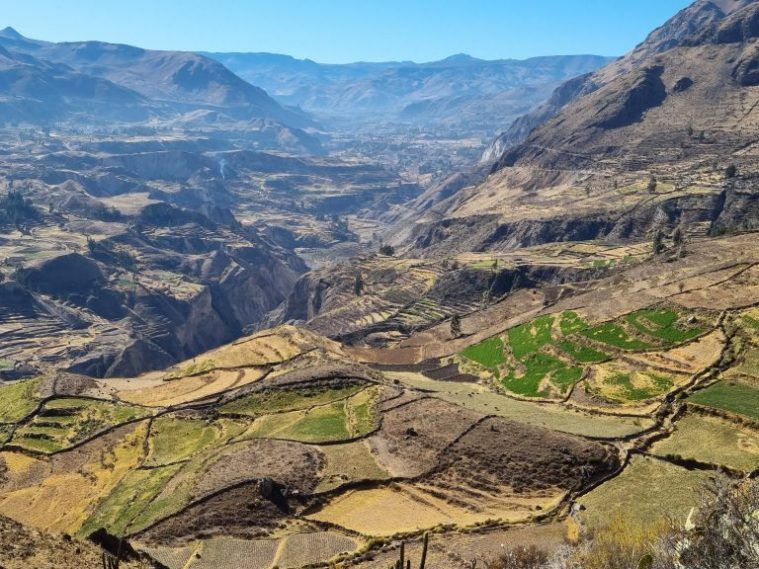 Cañón del Colca