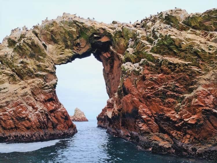 Islas Ballestas Paracas