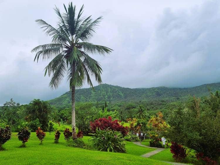 Jardín del tubo de lava maui