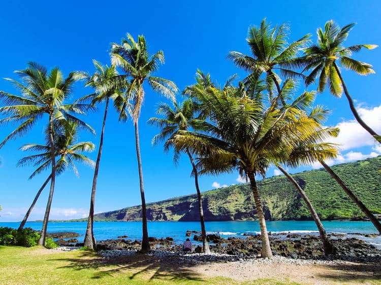 Manini beach big island