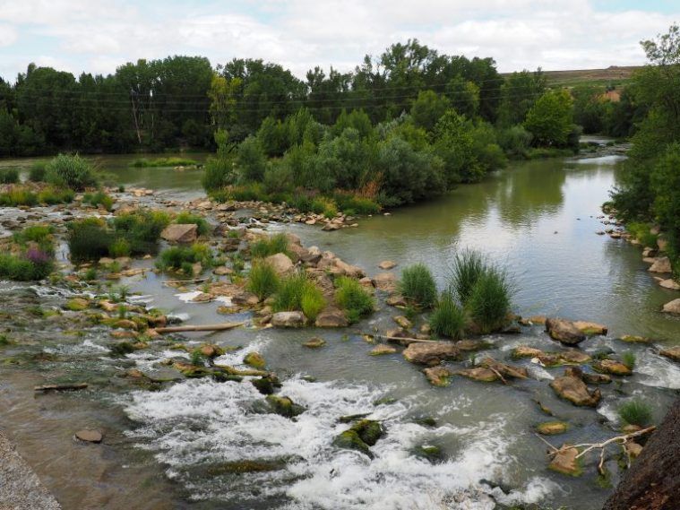 Parque del Ebro, Logroño