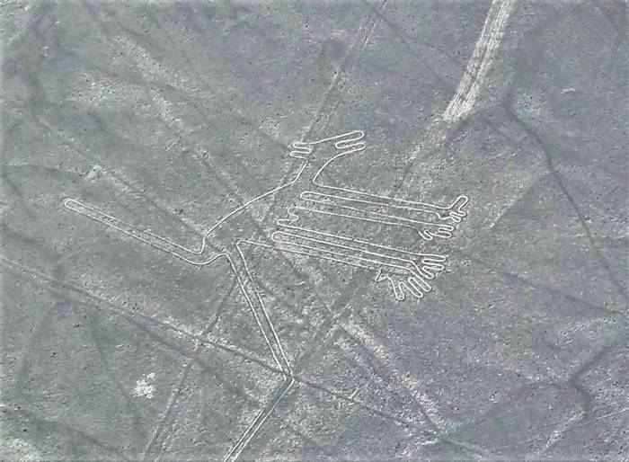 Cómo visitar las líneas de nazca