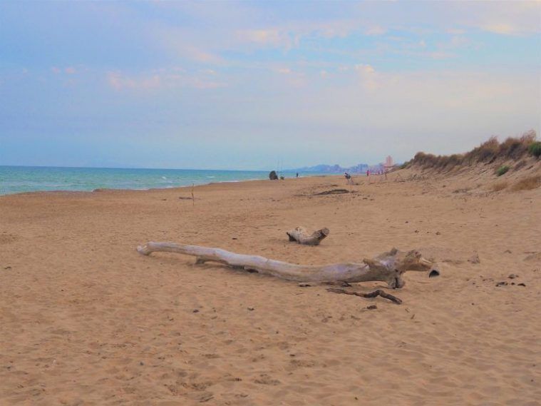 Playa de la Albufera